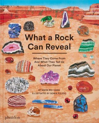 Cover of What a Rock Can Reveal