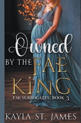 Book cover for Owned By The Fae King
