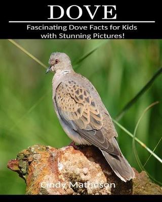 Book cover for Dove