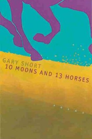 Cover of 10 Moons And 13 Horses