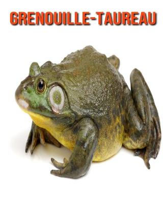 Book cover for Grenouille-Taureau