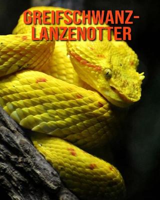 Book cover for Greifschwanz-Lanzenotter