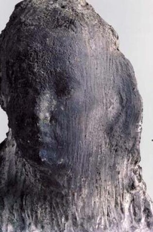 Cover of Medardo Rosso