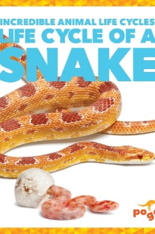 Cover of Life Cycle of a Snake