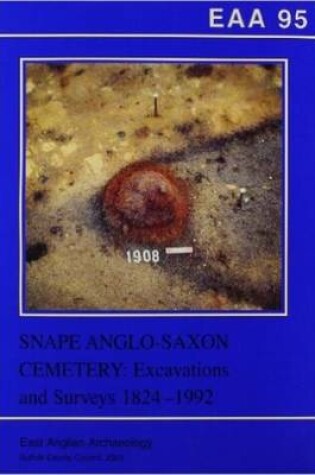 Cover of EAA 95: Snape Anglo-Saxon Cemetery