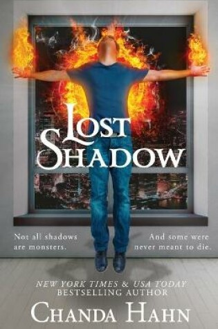Cover of Lost Shadow