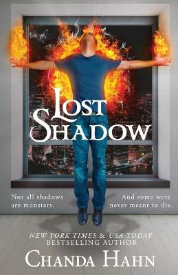 Book cover for Lost Shadow