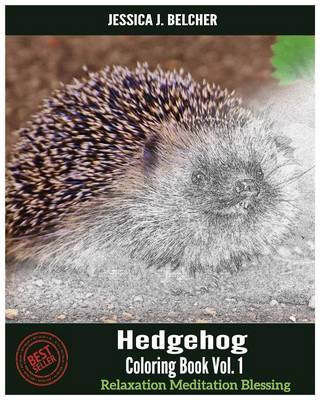 Cover of Hedgehog Coloring Books Vol.1 for Relaxation Meditation Blessing