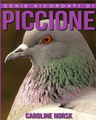 Book cover for Piccione