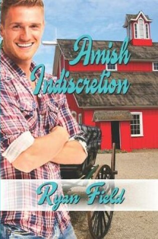 Cover of Amish Indiscretion