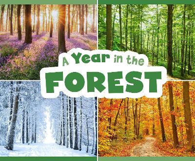 Book cover for A Year in the Forest