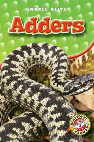 Cover of Adders