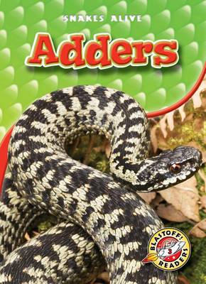 Book cover for Adders