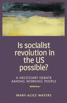 Book cover for Is Socialist Revolution in the US Possible?