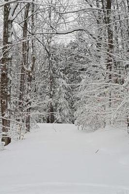 Book cover for Journal Winter Weather Woodland Path