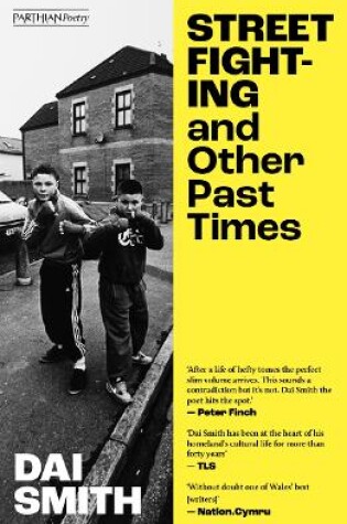 Cover of Street Fighting and Other Past Times