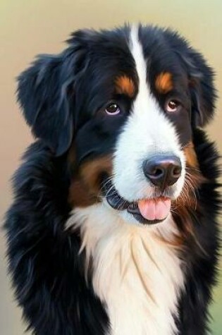 Cover of Bernese Mountain Dog