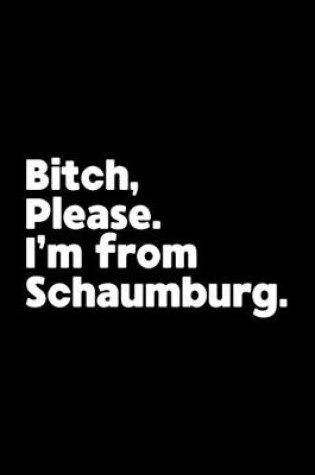 Cover of Bitch, Please. I'm From Schaumburg.