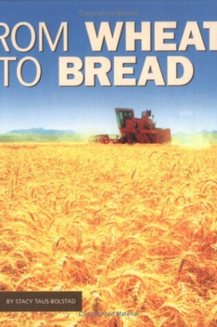 Cover of From Wheat to Bread