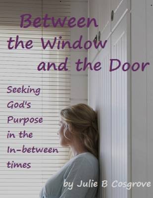 Book cover for Between the Window and the Door