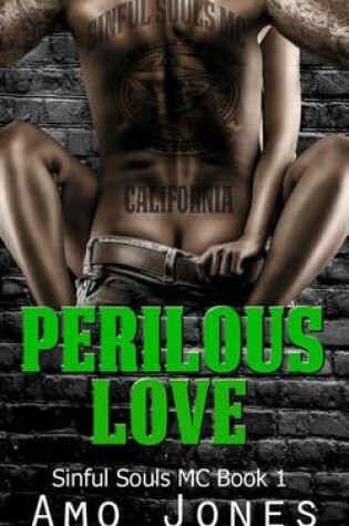 Cover of Perilous Love