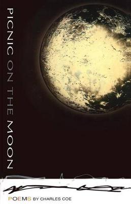 Book cover for Picnic on the Moon