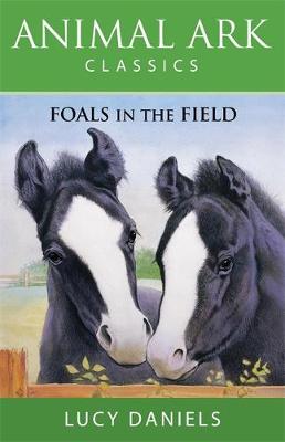 Book cover for Foals in the Field