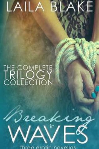 Cover of The Breaking in Waves Series