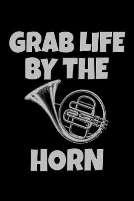 Book cover for Grab Life by the Horn