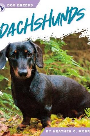 Cover of Dog Breeds: Dachshunds