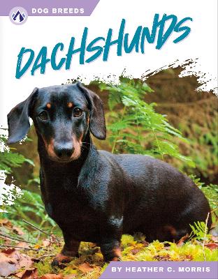 Book cover for Dachshunds