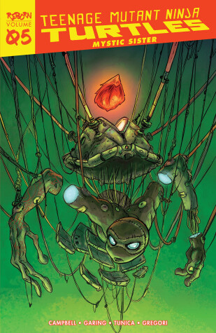 Book cover for Teenage Mutant Ninja Turtles: Reborn, Vol. 5 - Mystic Sister