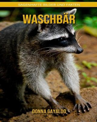 Book cover for Waschbär