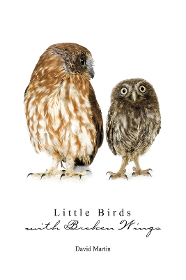 Book cover for Little Birds with Broken Wings