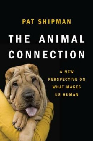 Cover of The Animal Connection