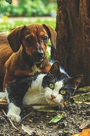 Cover of Dachshund Dog & Cat Lovers