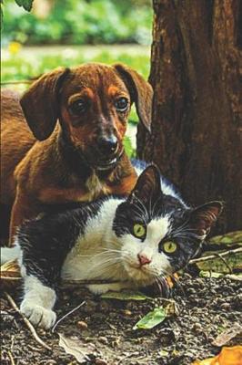 Book cover for Dachshund Dog & Cat Lovers