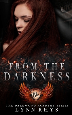 Cover of From the Darkness