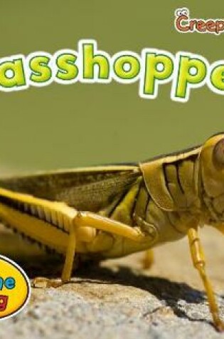 Cover of Grasshoppers