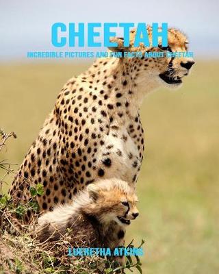 Book cover for Cheetah