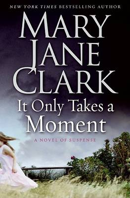 Book cover for It Only Takes A Moment