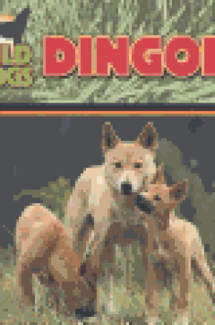 Cover of Dingoes