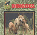 Book cover for Dingoes