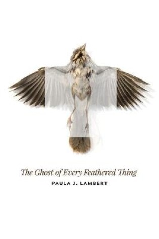 Cover of The Ghost of Every Feathered Thing