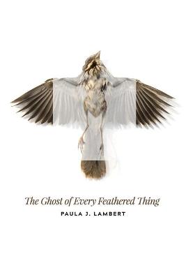 Book cover for The Ghost of Every Feathered Thing