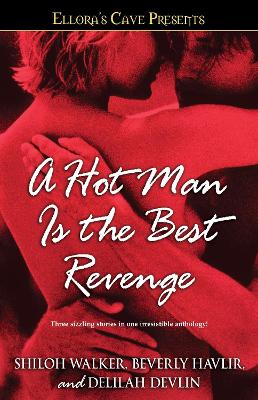 Book cover for A Hot Man Is the Best Revenge