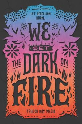 Book cover for We Set the Dark on Fire