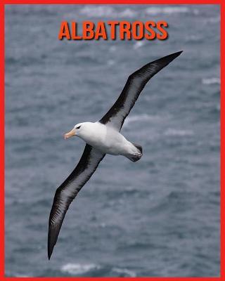 Book cover for Albatross