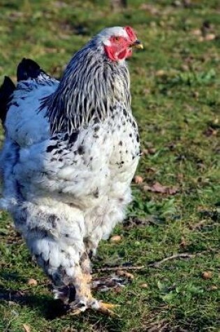 Cover of Proud Chicken Strutting Her Stuff Journal