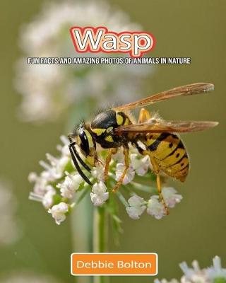 Book cover for Wasp